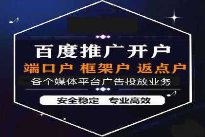 SEO与百度广告的结合：双管齐下的推广案例